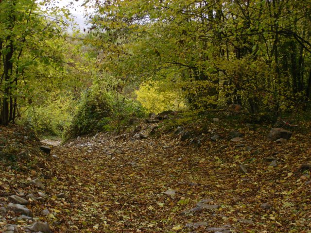 photo32.jpg